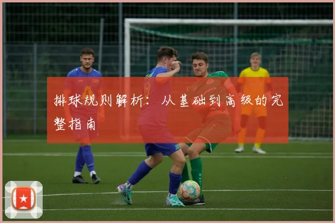 排球规则解析：从基础到高级的完整指南