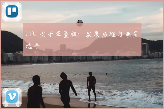 UFC 女子草量级：发展历程与明星选手