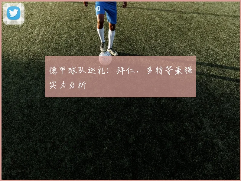 德甲球队巡礼：拜仁、多特等豪强实力分析