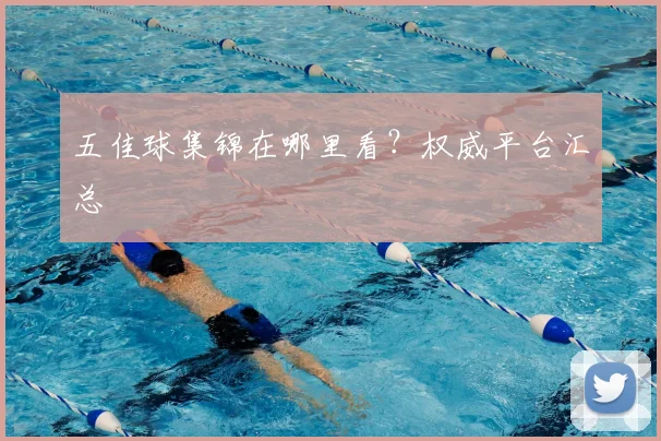 五佳球集锦在哪里看？权威平台汇总