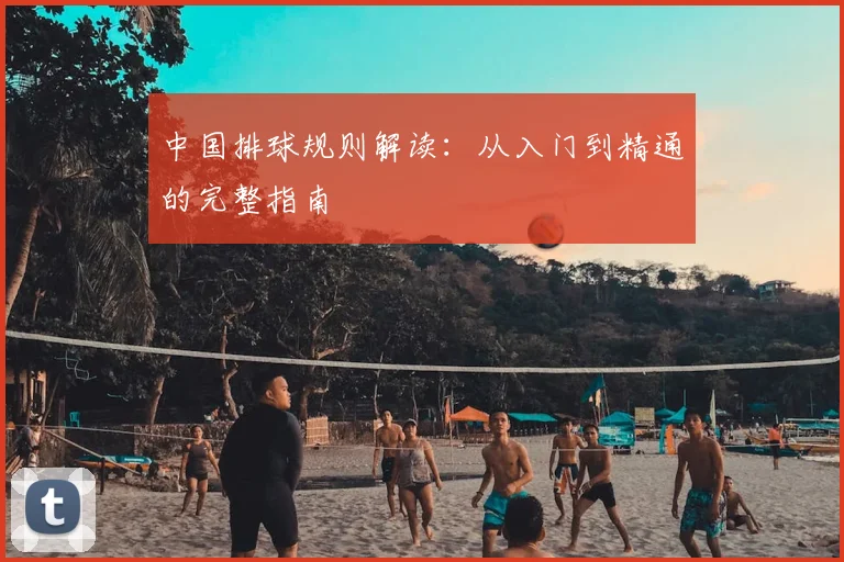 中国排球规则解读：从入门到精通的完整指南