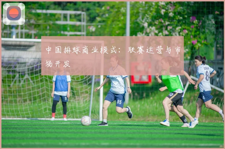 中国排球商业模式：联赛运营与市场开发